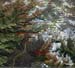 vue_generale 3