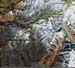vue_globale1