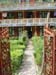 Lodges008